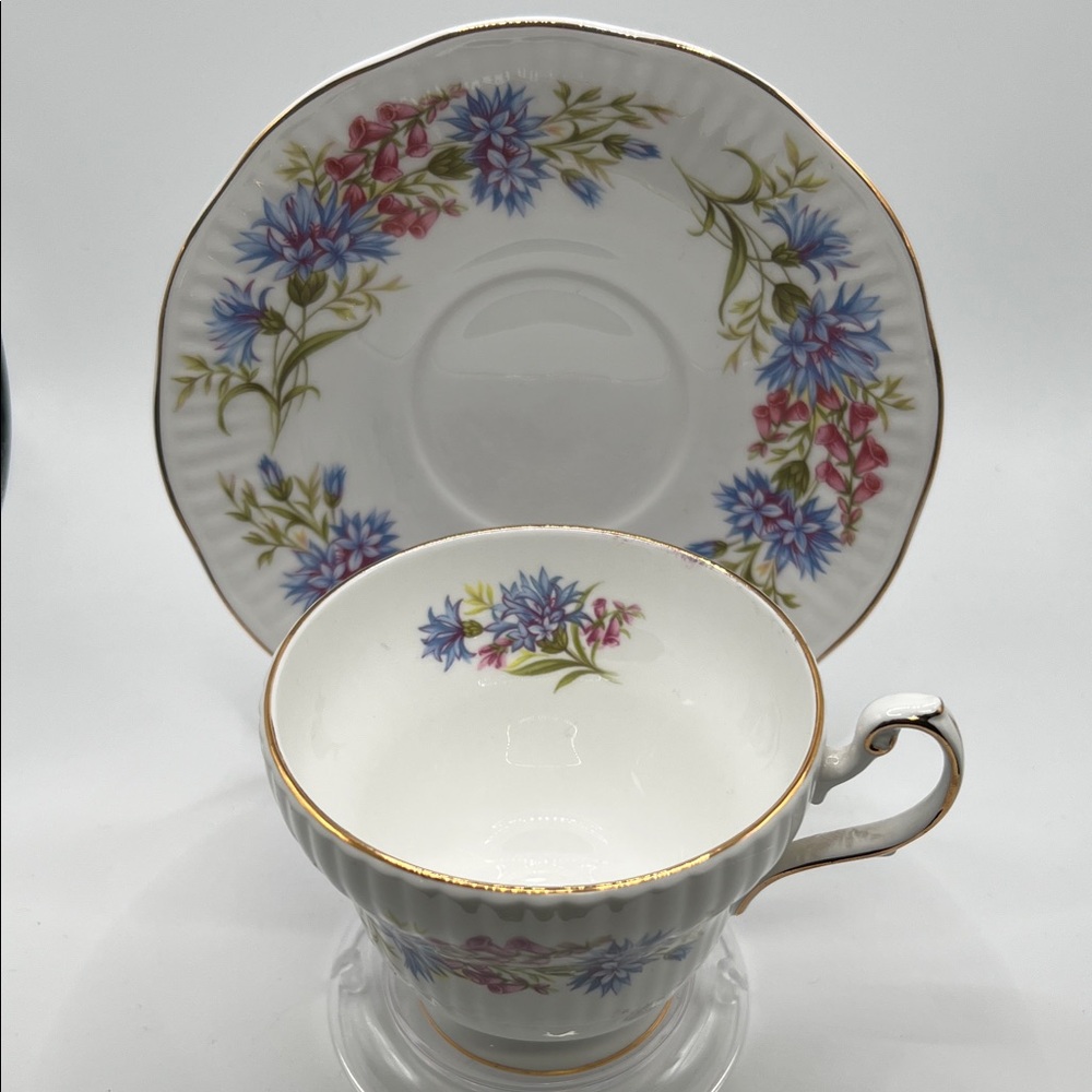 Queen’s Rosina China Co. Ltd. Fine Bone China, Wild Flowers, Cup and Saucer